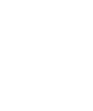 Big Brother Analytics Logo